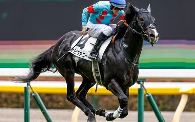 【小倉記念見どころ】エピファニーが重賞制覇の地で巻き返す