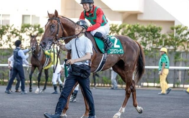 【七夕賞】売上は87億1115万7700円で昨年より14.6億円増加