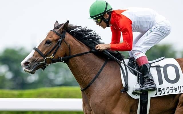 【函館2歳S想定騎手】ブラックチャリスは浜中俊騎手、カイショーは池添謙一騎手