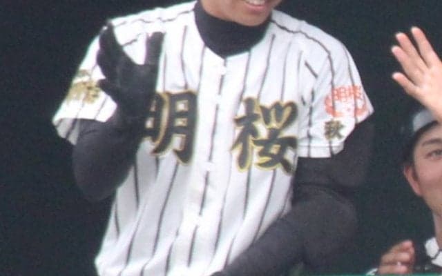 明桜はコールド勝ちで8強入り！能代松陽は逆転勝ちで準々決勝へ！秋田大会【25年夏高校野球】