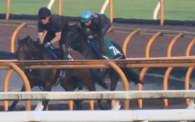 クロノジェネシスの初仔ベレシート 斉藤崇師「体は立派で体型は母似」/関西馬メイクデビュー情報