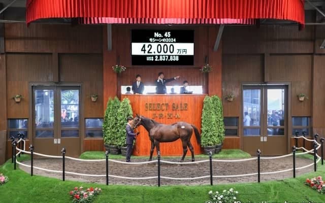 【セレクトセール2025】1歳部門の落札額トップ3はすべてキタサンブラック産駒 最高額は「モシーンの2024」で4億2000万円