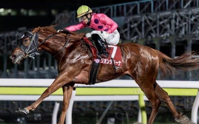 【大井・優駿スプリント枠順】トライアルを制したリオンダリーナは6枠12番、無傷5連勝中のブライトフラッシュは3枠5番
