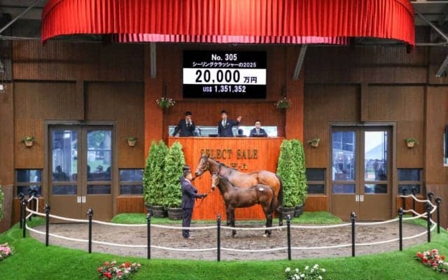 【セレクトセール2025】エピファネイア産駒に2億円