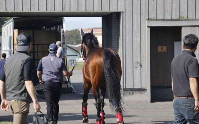 モーリスほか4頭が出国検疫のため胆振輸出検疫施設に入厩 南半球でシャトル供用