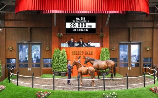 【セレクトセール2025】スワーヴリチャード産駒に2億9000万円