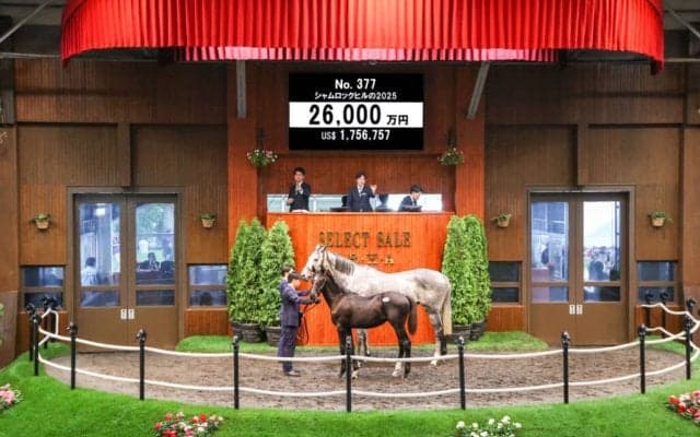 【セレクトセール2025】エピファネイア産駒に2億6000万円