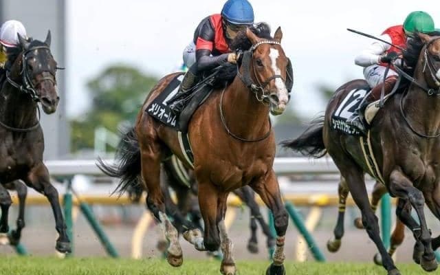 【小倉記念予想オッズ】メリオーレムが予想1番人気