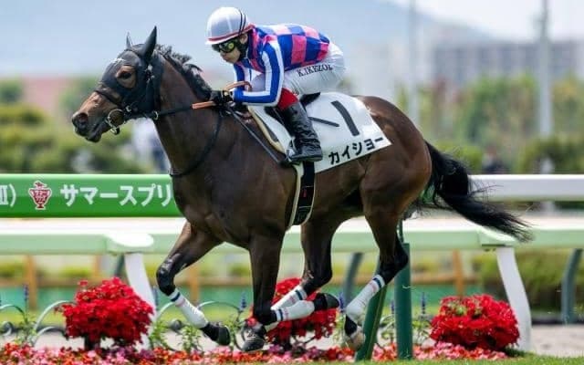 【函館2歳S予想オッズ】カイショーが予想1番人気