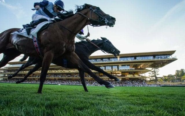 【海外競馬】ルファール、JC.ルジェ調教師を再び世界の頂点へ--1万人超の観衆の前で感動の勝利