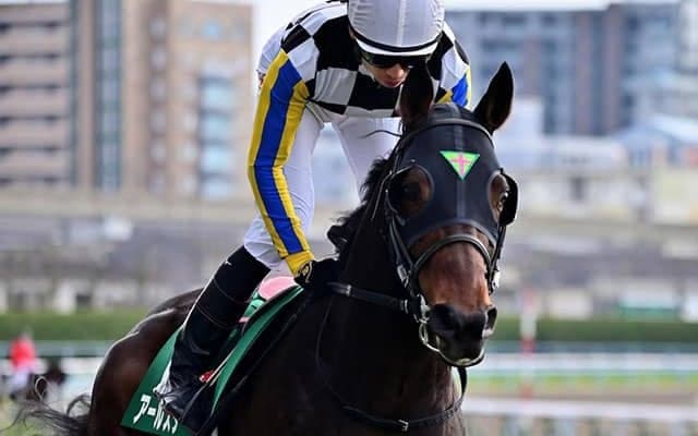 長岡禎仁騎手の重賞初制覇は3連単137万円 アールスターの小倉記念から5年