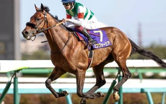 【セレクトセール2025】ロードカナロア、キズナ、エフフォーリア産駒の高額馬トップ3を振り返り