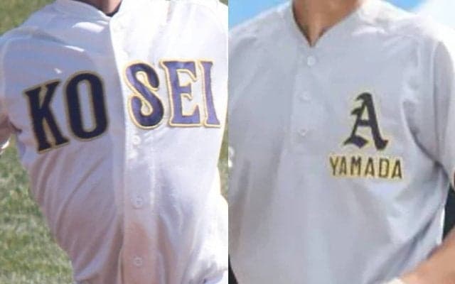 青森で17日に8強をかけた3回戦！「強豪私学」の結果は？【25年夏高校野球】