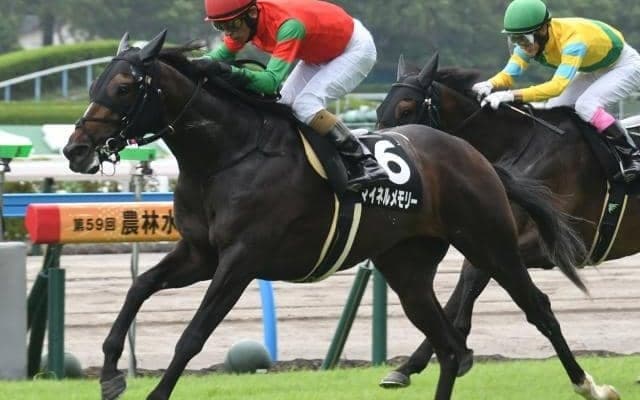 【小倉記念予想】AIは穴党注目の一頭を評価 臨戦過程などが理由に