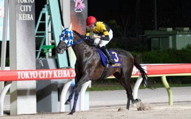 【サンタアニタT】７歳馬ランリョウオーが復活V…入場・売上は前年比割れ