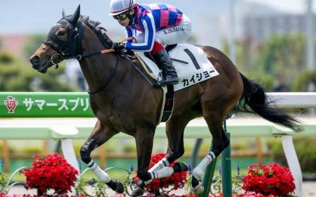 【函館2歳S出走馬・騎手確定】カイショー＆池添謙一騎手、ブラックチャリス＆浜中俊騎手など12頭