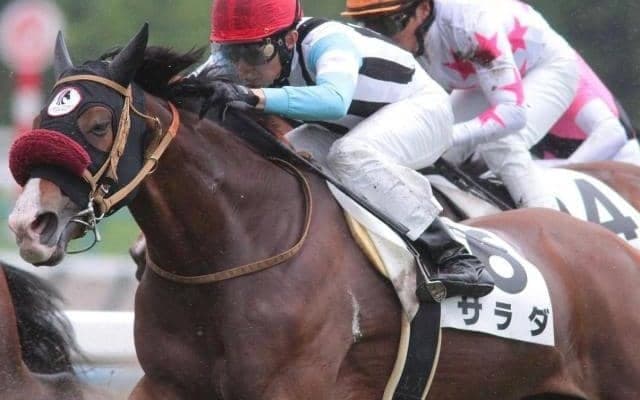 タマゴ＆サラダ＆ポテチが今週集結 ケーエスHDが3勝の固め打ちなるか