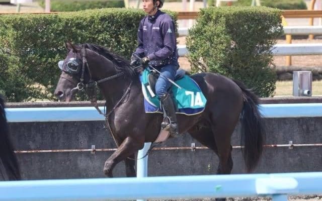 【JRA新馬戦】クロノジェネシスの仔ベレシートなどがデビュー