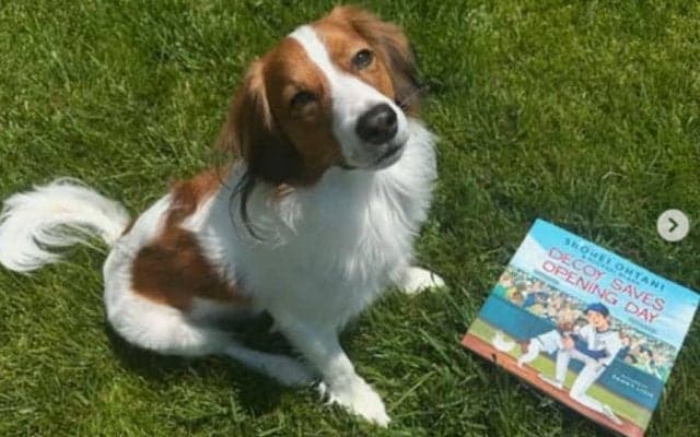 大谷翔平＆デコピンが米国で絵本に　SNS更新、自らも“共同著者”…来年2月に販売へ