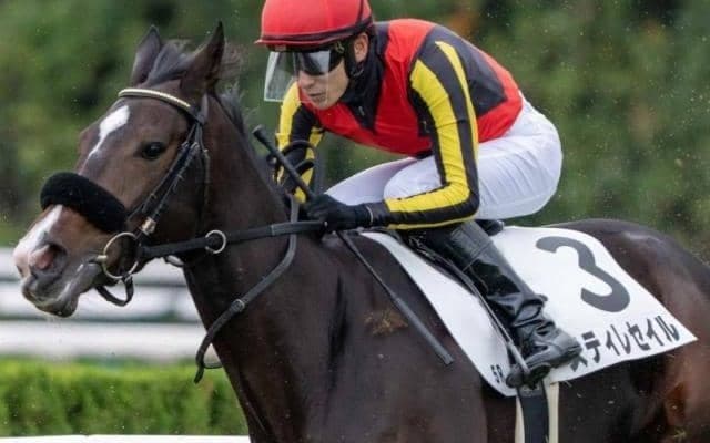 きょうだいにダノンベルーガやボンドガール スティレセイルが初勝利を狙う