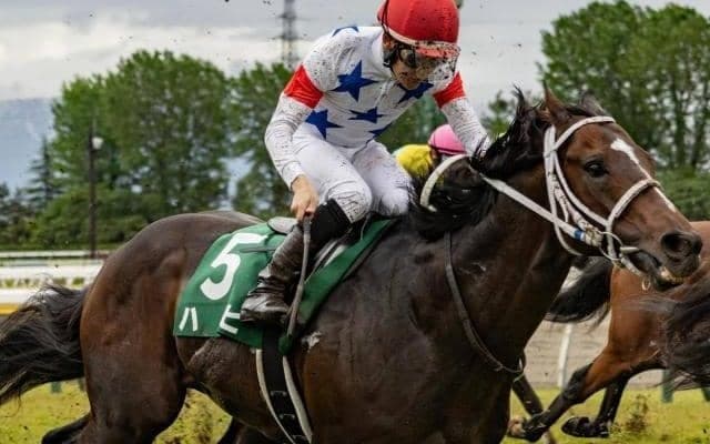 【小倉記念枠順確定】ハピは6枠12番、メリオーレムは2枠4番