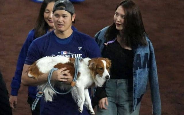 「最高に可愛くて癒されました」大谷翔平が愛犬デコピンの「名スイマー」ぶりを紹介　ファンはメロメロ