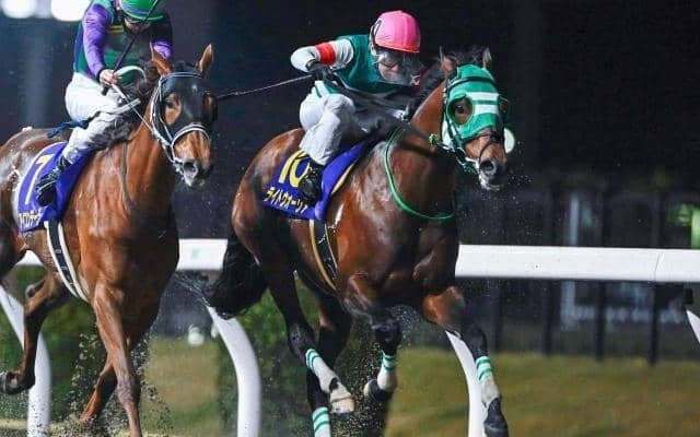 【盛岡・マーキュリーC枠順】川崎所属のライトウォーリアは1枠1番