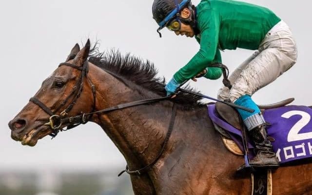 ひまわり賞を前に「九州産馬」の豆知識紹介