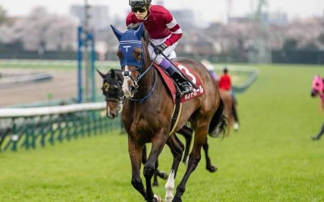 【関屋記念想定馬・騎手】ボンドガール、イミグラントソングなど17頭