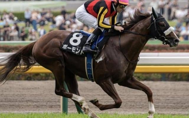 福島芝は前有利 ボーモンドの押し切りだ