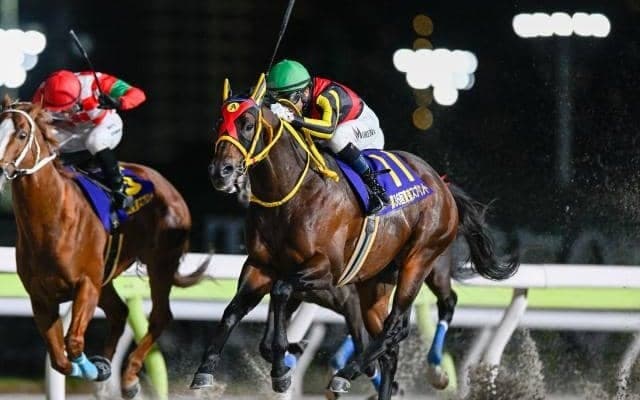 【東海S想定馬・騎手】エートラックス、ビダーヤなど20頭