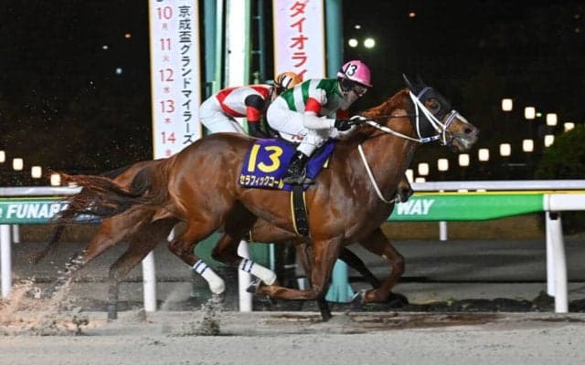 【マーキュリーC】セラフィックコールは大外10番枠から