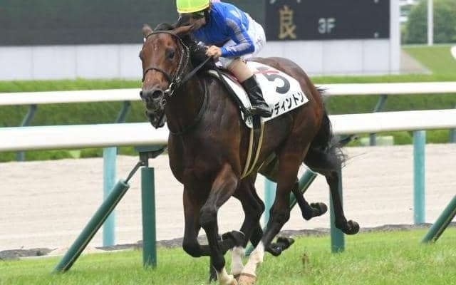 【今日の注目ポイント】マリーンSでレディントンがOP初勝利を狙う