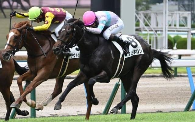 【小倉5R新馬戦結果】ナムラドロンが接戦を制す ダノンスマッシュ産駒のJRA初勝利