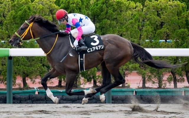 【マリーンS結果】ピュアキアンが直線で盛り返してオープン初勝利