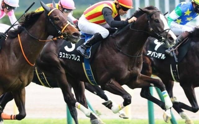 【小倉記念】叔父は日本ダービー馬 ラスカンブレスが重賞初挑戦初制覇なるか
