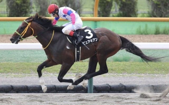 【マリーンS】ピュアキアンが脅威の粘り腰！オープン初勝利