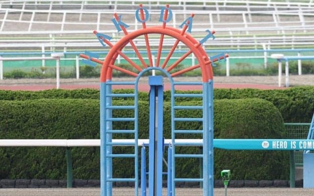 【函館5R】横山武ラブリーリディアが人気に応える…函館リーディング首位をキープ