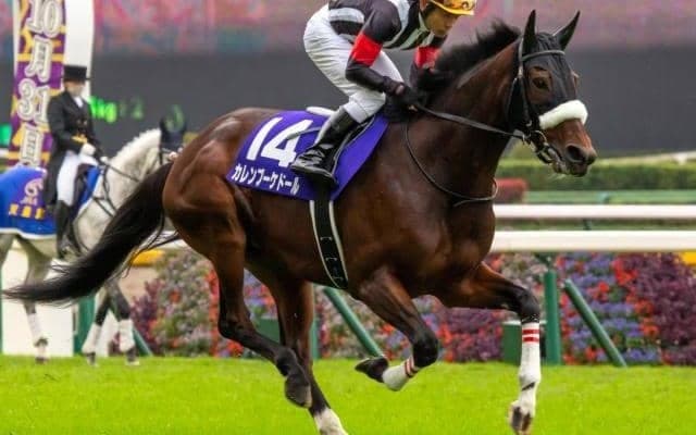 母はGI・2着3回のカレンブーケドール ハムタンが武豊騎手で初陣