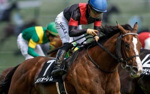 【今日の注目ポイント】開催最終日に小倉記念と函館2歳S