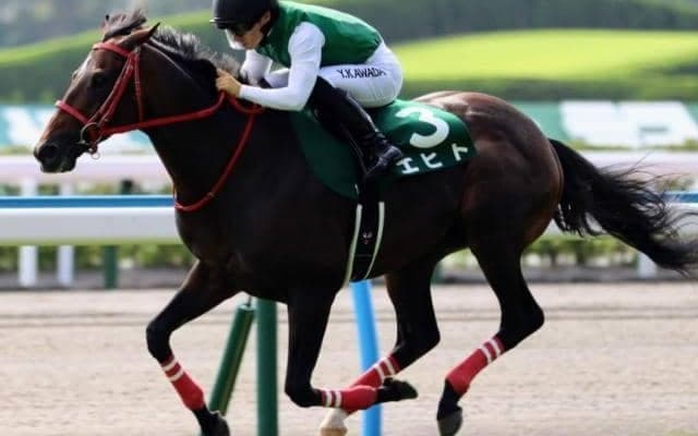 【小倉記念】ディープの血を引く馬が好調 狙い目の人気は？