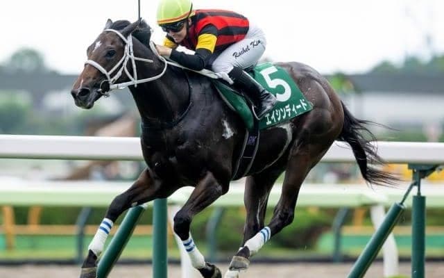 【函館2歳S結果】移籍初戦＆初芝の9番人気エイシンディードが鮮やかに逃げ切りV！