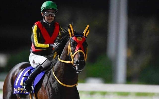 【東海S】エートラックス、ビダーヤらが登録