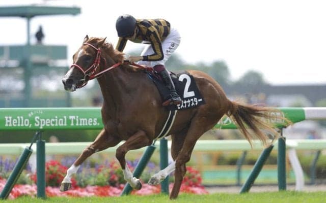 【潮騒特別】横山武史騎乗 モズナナスターVで、函館リーディング確定