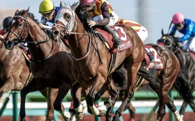 札幌・新潟・中京開催が開幕 関屋記念と東海Sの2重賞/今週の競馬界の見どころ
