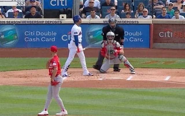 どこ見てんだよ！ “1150億円男”にとんでもない“誤審”「嫌われてる？」「酷すぎる」理不尽すぎる… メッツ・ソトへの判定が物議を醸す