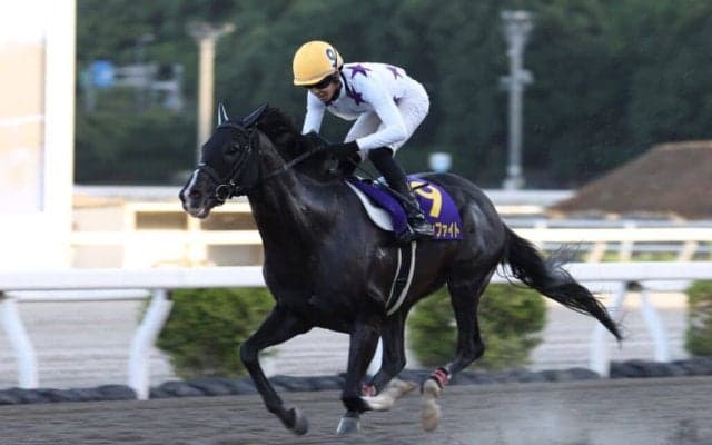 【高知・トレノ賞】井上瑛太＆ロードインファイトが地元で重賞初制覇！5馬身差の圧勝劇