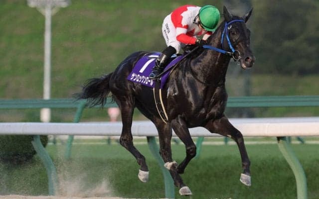 【盛岡・やまびこ賞】サンロックンロールが圧巻の8馬身差V！不来方賞の権利獲得