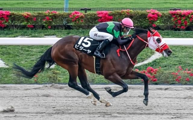 【東海S見どころ】快進撃が続くビダーヤの5連勝に期待