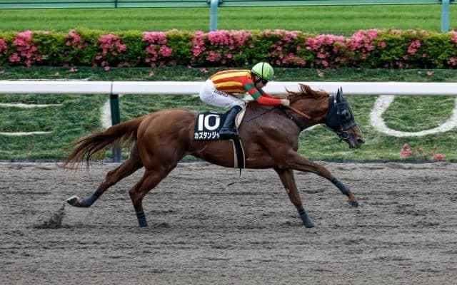 【盛岡・マーキュリーC注目馬】実力拮抗のメンバーがみちのくで激突